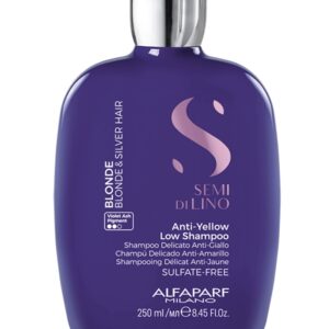 Anti-Yellow Low Shampoo